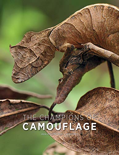 Cover of the book The Champions of Camouflage by Jean-Philippe Noel