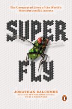 Cover of the book Super Fly: The Unexpected Lives of the World's Most Successful Insects by Jonathan Balcombe